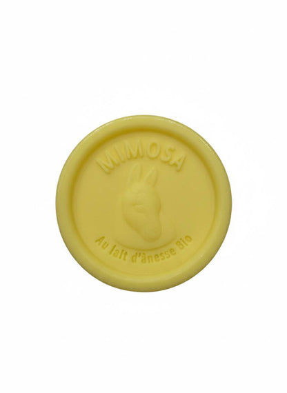 savon au lait d'ânesse 25g